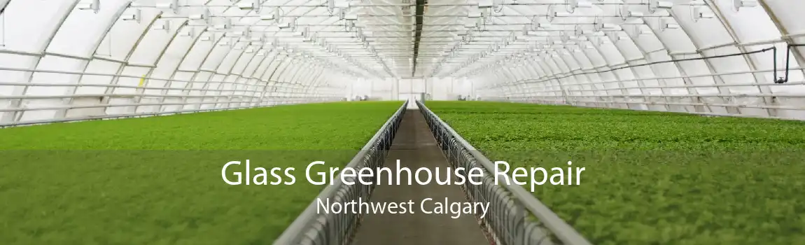 Glass Greenhouse Repair Northwest Calgary