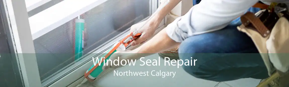 Window Seal Repair Northwest Calgary