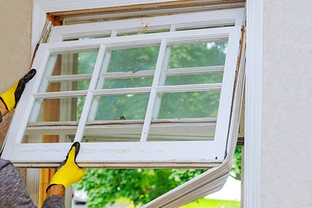 Window Replacement in Northwest Calgary